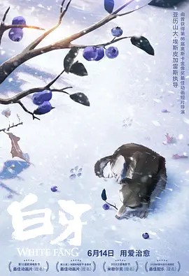 日韩中文字幕网